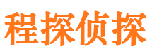 阿瓦提侦探公司